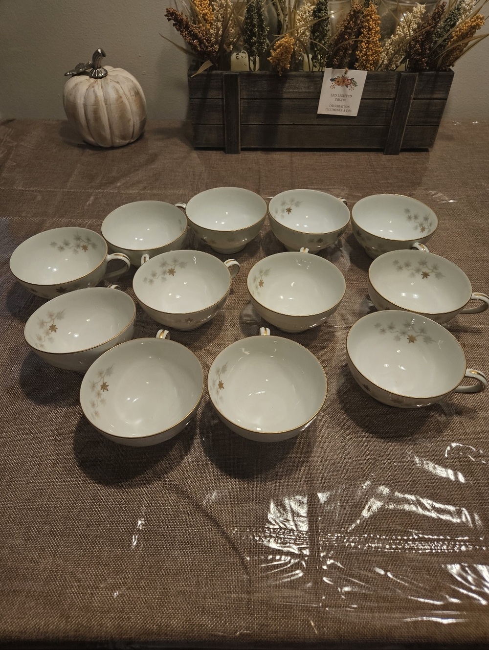 Classic White Porcelain Teacups with Gold Star Accents - Set of 12